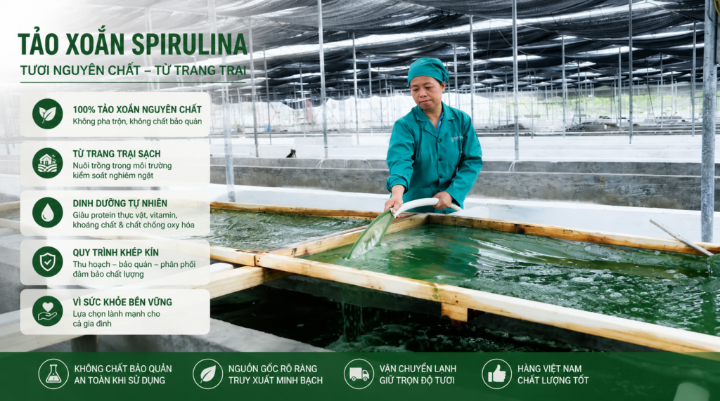 tao-xoan-spirulina-co-tot-cho-da-khong-ho-tro-cham-soc-da-tu-ben-trong