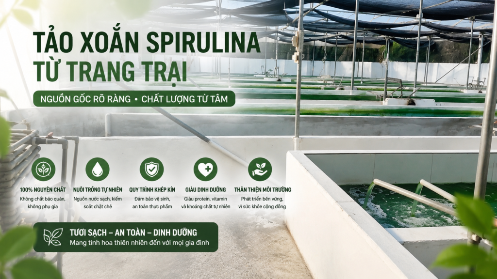 tao-xoan-spirulina-co-giup-tang-can-khong-giai-dap-tu-goc-nhin-dinh-duong